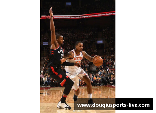 NBA集锦：篮球华丽旋律，挑战重力的乐章